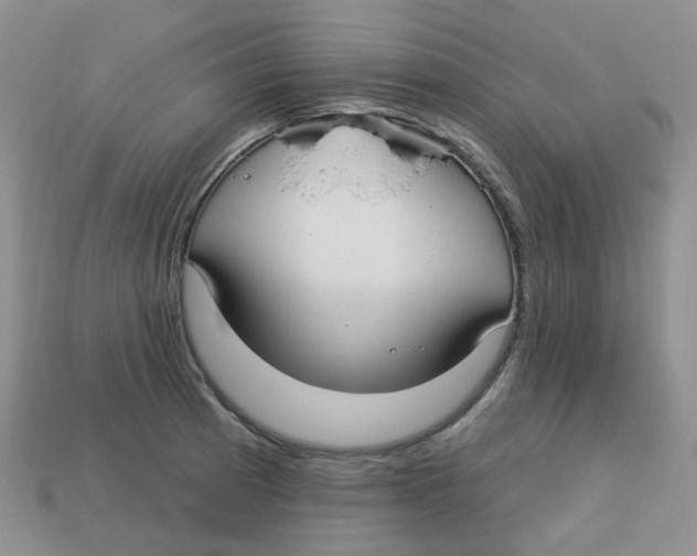 X0000113581185200910161533