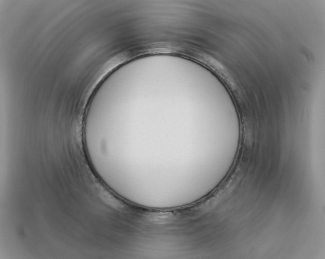 X0000113581186200910161533