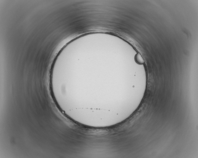 X0000113581187200910161533