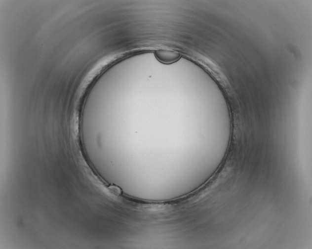 X0000113581188200910161533