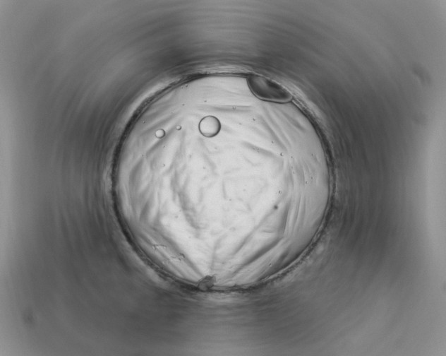 X0000113581189200910161533