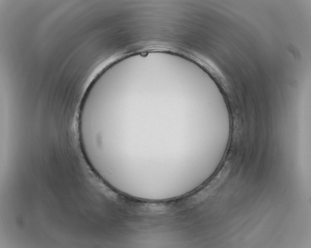 X0000113581190200910161533