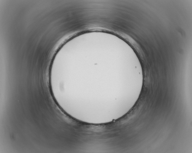 X0000113581191200910161533