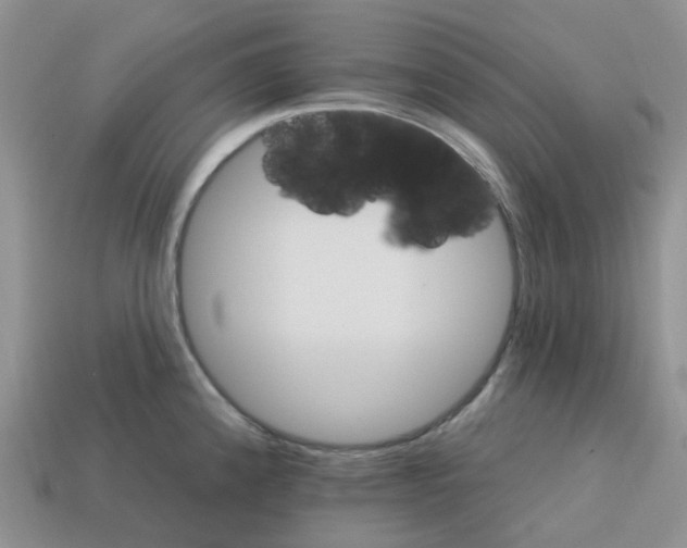 X0000113581192200910161533