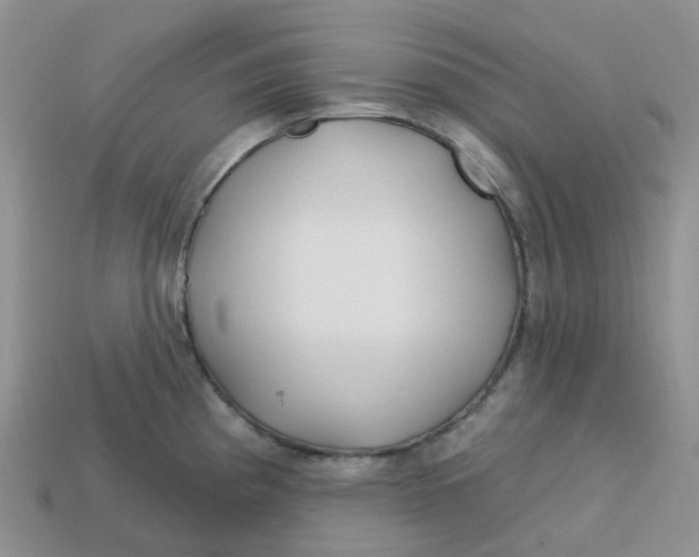 X0000113581193200910161533