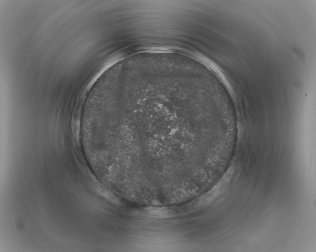 X0000113581194200910161533