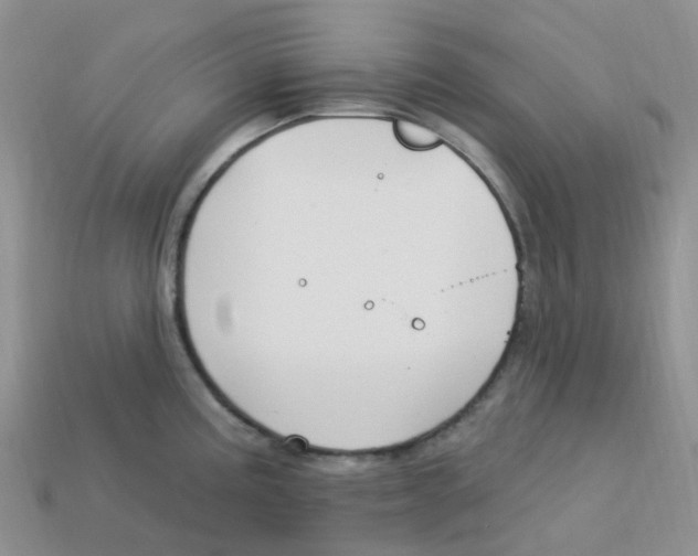 X0000113581195200910161533