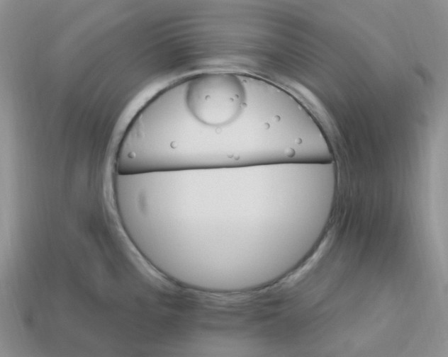 X0000113581196200910161533