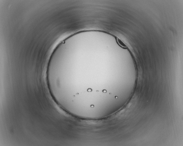 X0000113581197200910161533