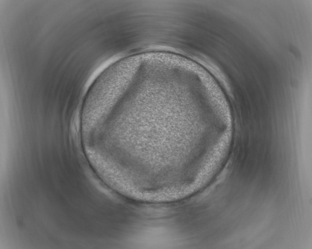 X0000113581198200910161533