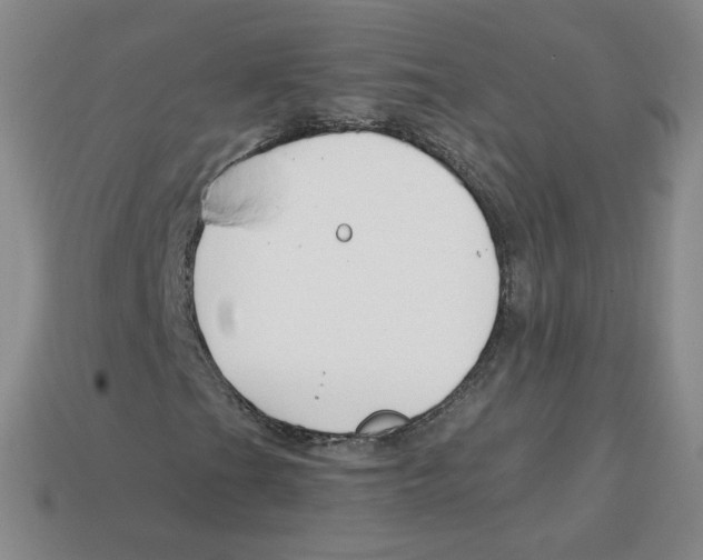 X0000113581201200910161532