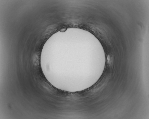 X0000113581203200910161532