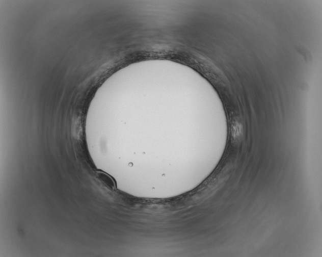 X0000113581204200910161533