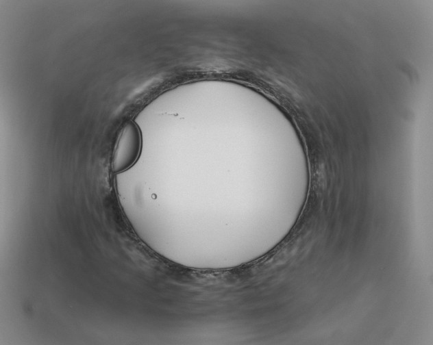 X0000113581205200910161533