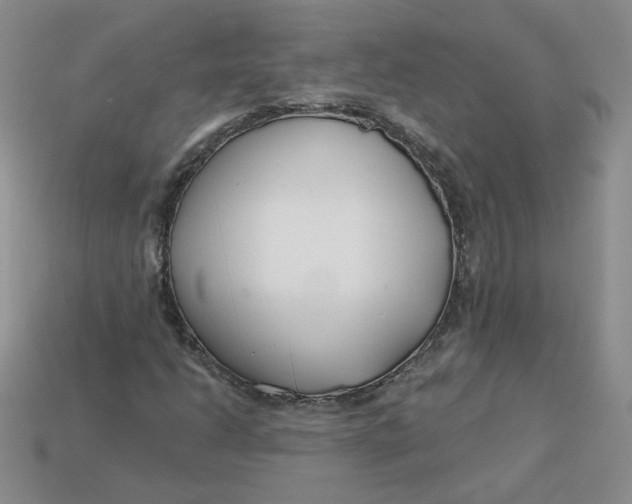 X0000113581206200910161533