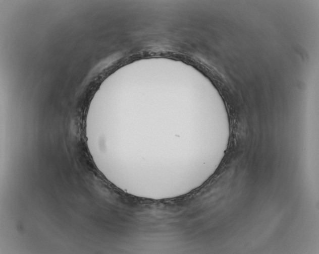 X0000113581207200910161533