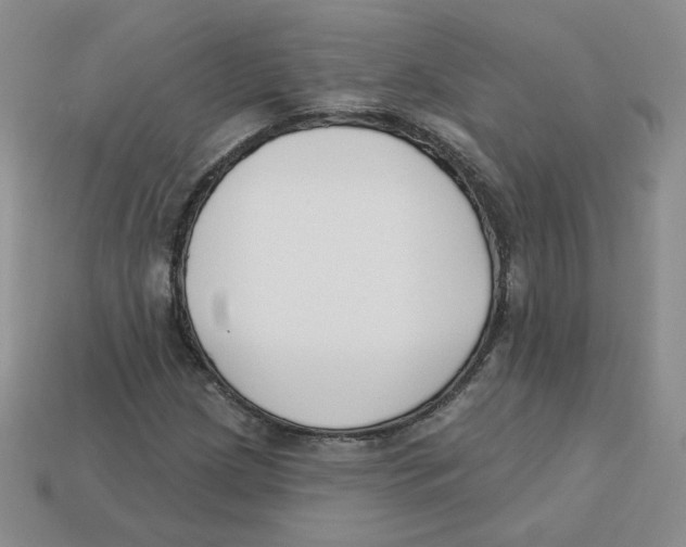 X0000113581209200910161533