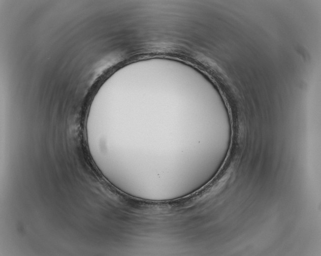 X0000113581210200910161533