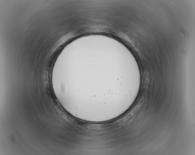 X0000113581211200910161533