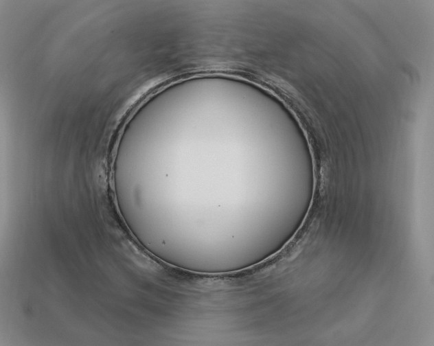 X0000113581212200910161533