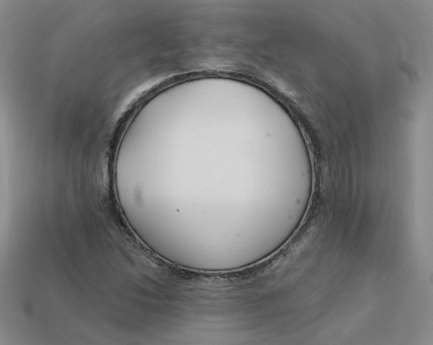 X0000113581214200910161533