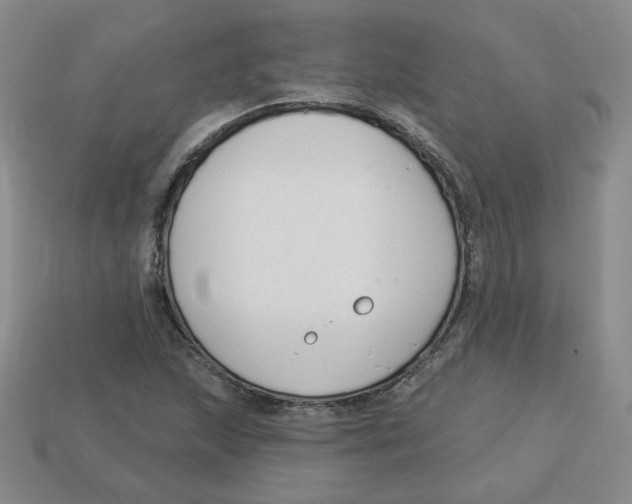 X0000113581215200910161533