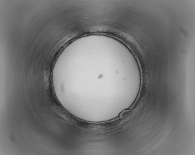 X0000113581217200910161533