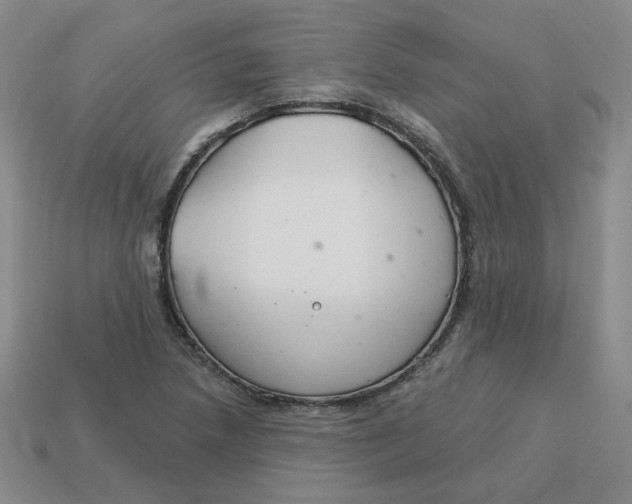 X0000113581218200910161533