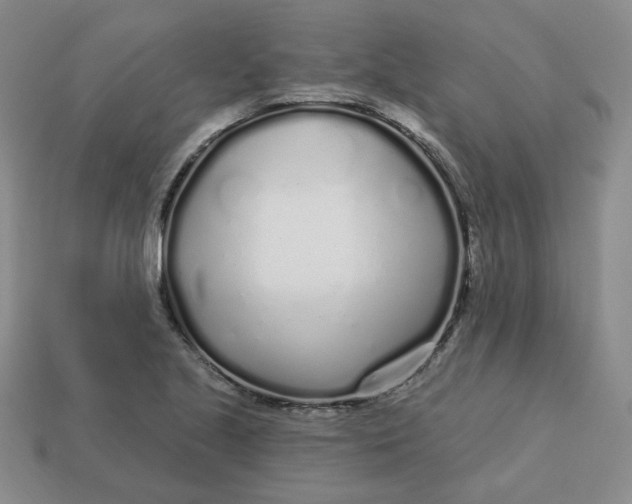 X0000113581221200910161533