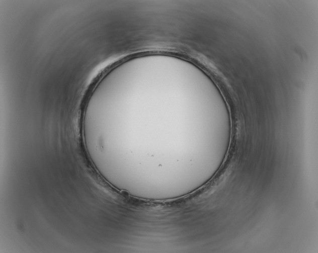 X0000113581222200910161533