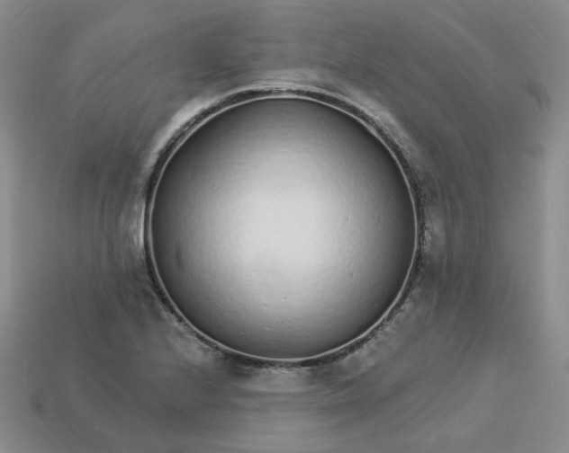 X0000113581224200910161533