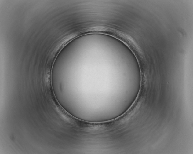 X0000113581225200910161533