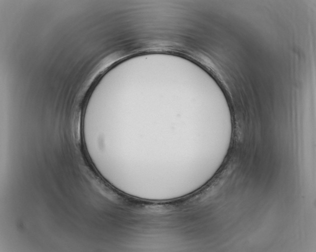 X0000113581227200910161533