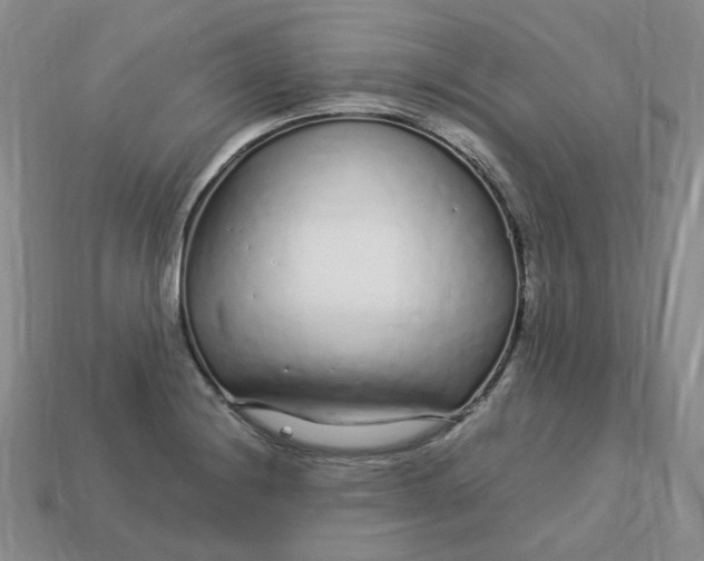 X0000113581228200910161533