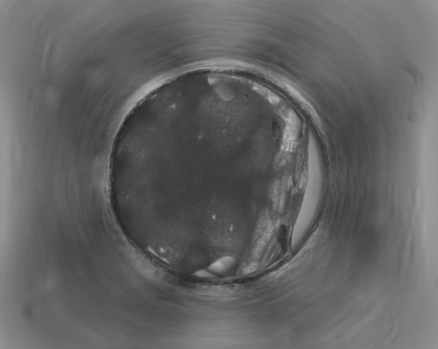 X0000113581229200910161533