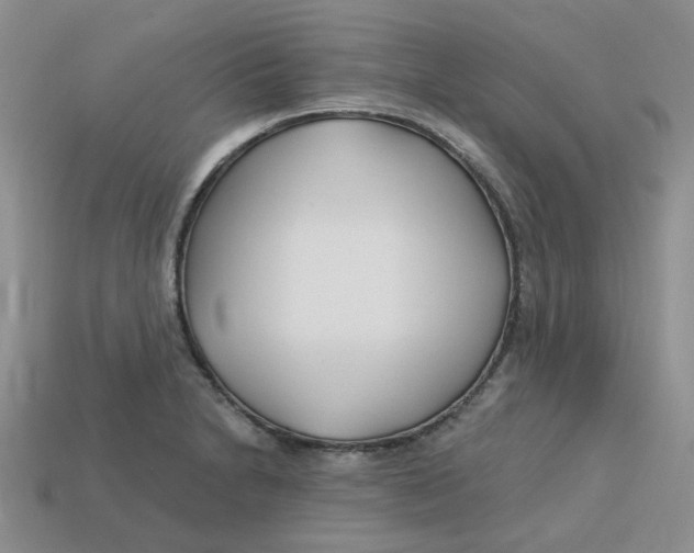 X0000113581230200910161533