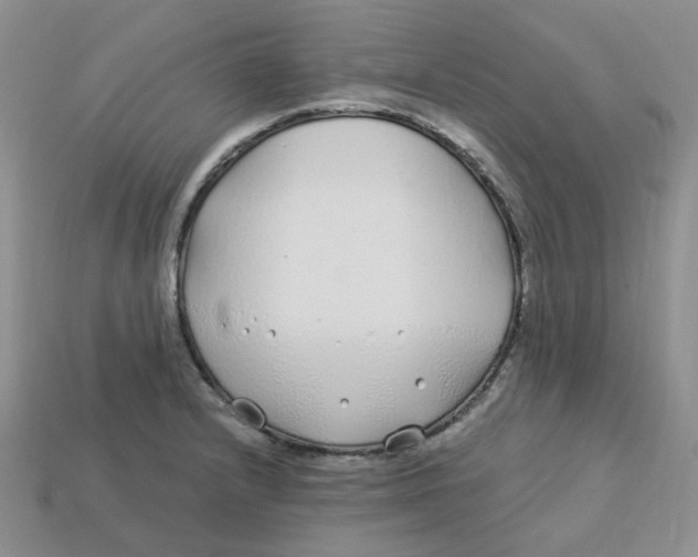 X0000113581232200910161533