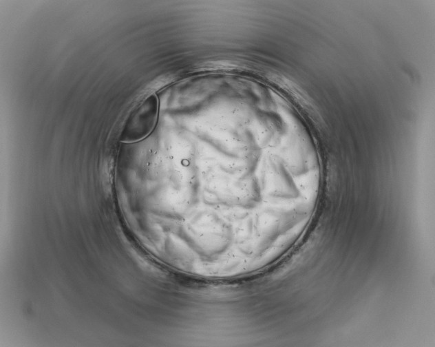 X0000113581233200910161533