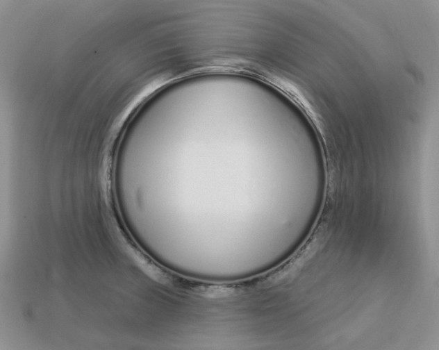 X0000113581235200910161533