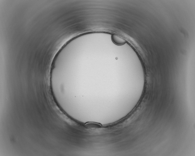 X0000113581236200910161533