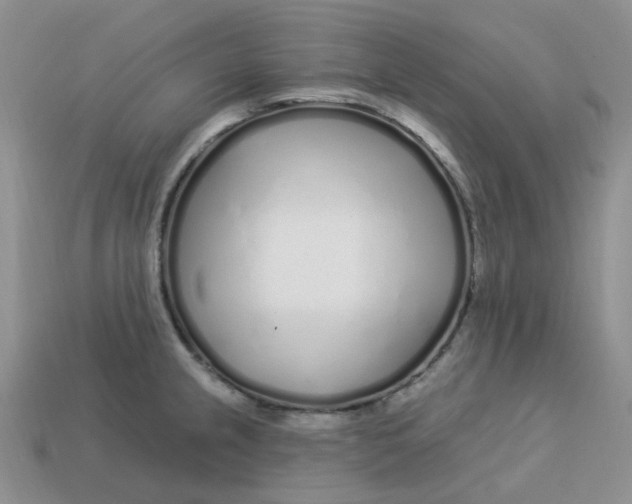 X0000113581237200910161533