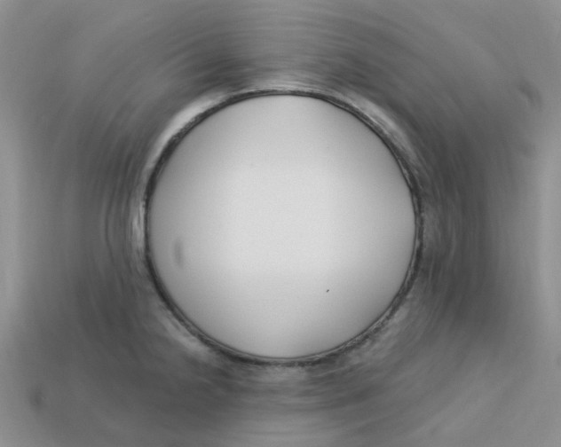 X0000113581238200910161533