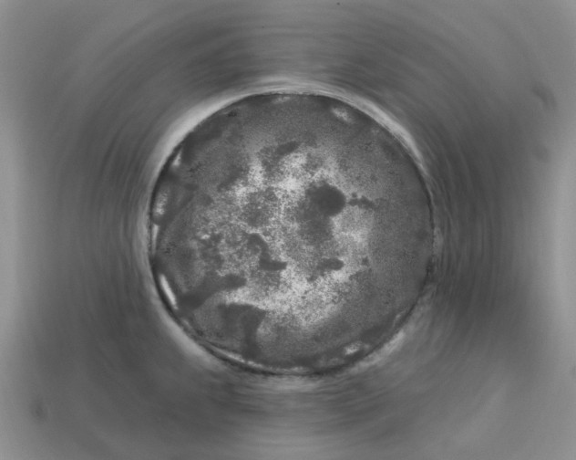 X0000113581239200910161533