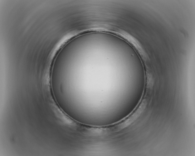 X0000113581240200910161533