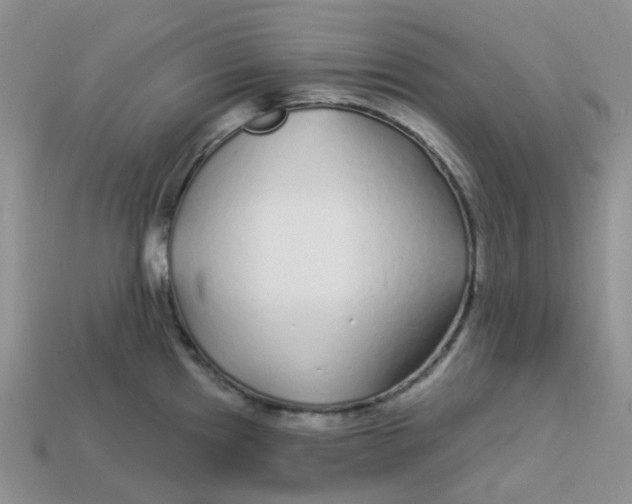 X0000113581241200910161533