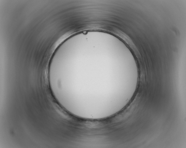 X0000113581242200910161533