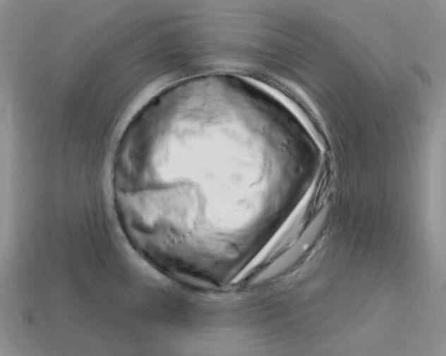 X0000113581243200910161533