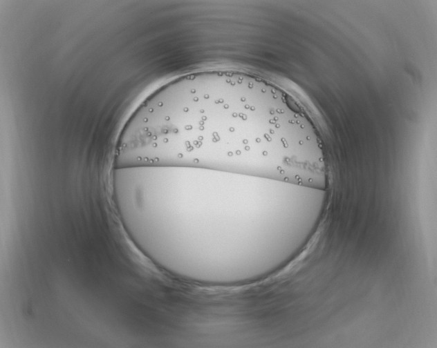 X0000113581244200910161533