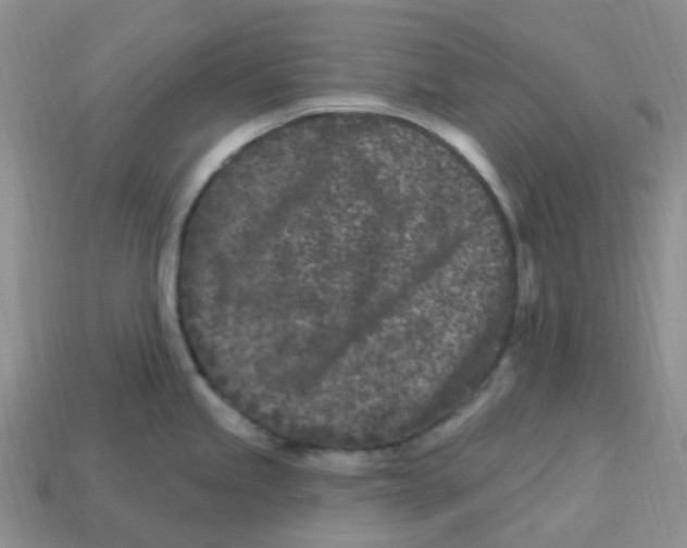 X0000113581245200910161533