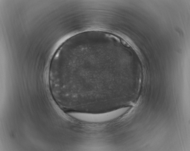 X0000113581246200910161533